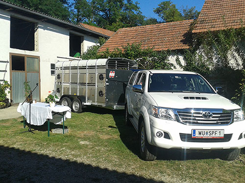 Unser neues Auto mit Anhänger